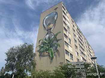 Lyon : Dans les coulisses du projet Street Art Rillieux Lyon : Dans les coulisses du projet Street Art Rillieux - Véridik