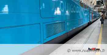 Des cafards dans le train Ouigo qui fait Paris – Lyon - Rue89Lyon
