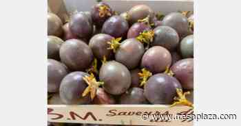 A well loved passion fruit from Breton - FreshPlaza.com