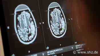 Kein Computer: Unser Gehirn braucht Hilfe - shz.de