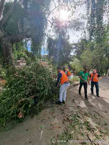 Barra Mansa registra queda de árvore na Vila Coringa em passagem de ciclone extratropical pela região – Barra Mansa - Prefeitura Municipal de Barra Mansa (.gov)