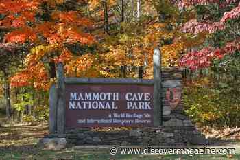 50 Years Ago, Cavers Connected Mammoth Cave and Flint Ridge