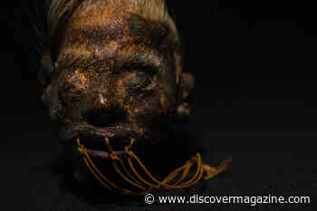 Researchers Prove Shrunken Head is Human and Shed Light on Mysterious Tradition