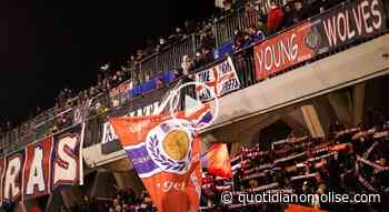 Campobasso Calcio, il 18 luglio udienza per esame ricorso. Ultima spiaggia? - Il Quotidiano del Molse