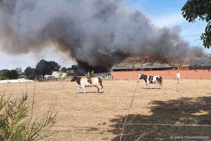 Zware boerderijbrand in Peer: asbest-alarm afgekondigd