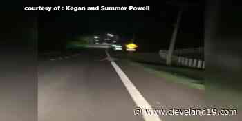 Police: Kangaroos spotted in Stark County - Cleveland 19 News