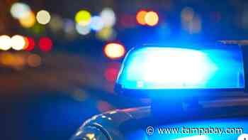 St. Petersburg woman has called police more than 11,000 times this year, police say - Tampa Bay Times