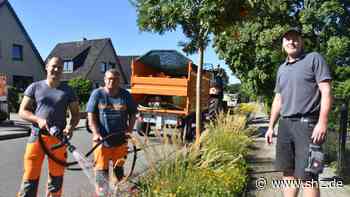 Hitze: Bauhof Tornesch gießt Bäume und Staudenbeete - shz.de