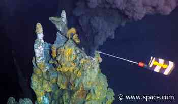 Massive expanse of towering hydrothermal vents discovered deep in the Pacific
