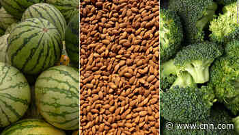 Apples, pumpkins and even tequila: Losing critical populations could mean losing some favorite food and drink