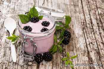 Crema di ricotta e more: il dessert goloso pronto in 3 minuti - Quotidianpost.it