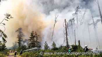Brand auf ehemaligem Militärgelände unter Kontrolle
