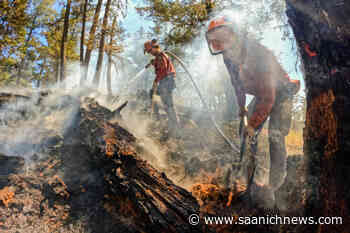45 new wildfires spark after lightning hits dry areas of B.C. - Saanich News
