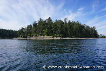 You can own your own private B.C. island for $2.9M - Cranbrook Townsman