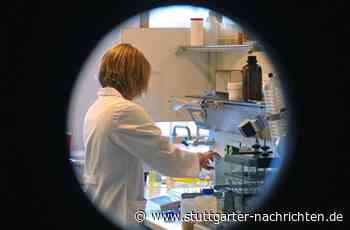 Buchtipp „Eine Frage der Chemie“: Warum dieser Debüt-Roman das unterhaltsamste Buch dieses Sommers ist - Stuttgarter Nachrichten