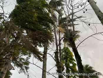 Defesa Civil alerta para fortes rajadas de vento em Blumenau e toda SC provocadas pelo ciclone extratropical - O Município Blumenau
