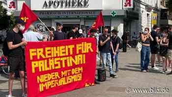 Bei Demo in Hamburg: Hass-Botschaften von Palästina-Sympathisanten - BILD