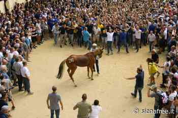 Palio di Siena del 16 agosto 2022: la Seconda prova alla Tartuca - SienaFree.it