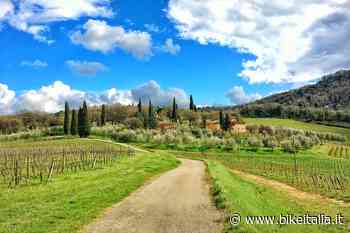 Nasce il "Distretto Bike Friendly Terre del Benessere" in Provincia di Siena - Bikeitalia.it