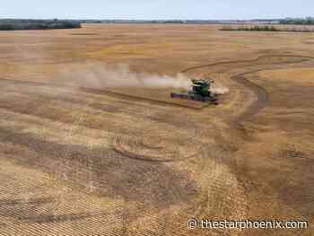 'Crop yields will suffer': Fertilizer reduction targets pitting farmers against federal government