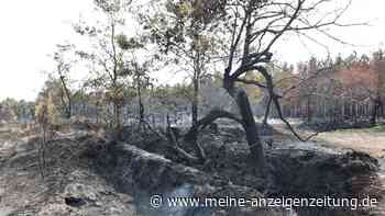 Waldbrand an französischer Atlantikküste unter Kontrolle