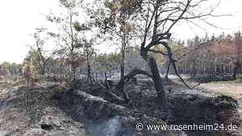 Waldbrand an französischer Atlantikküste unter Kontrolle
