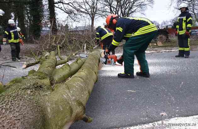 FFW Schiffdorf: Baum auf Straße sorgt für Einsatz der Feuerwehr