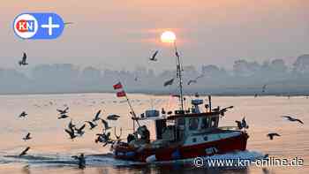 Schleswig-Holsteins Fischer wollen ihre Kutter nicht abwracken