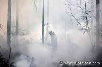Après la pluie, accalmie générale sur le front des incendies, les pompiers restent "vigilants"