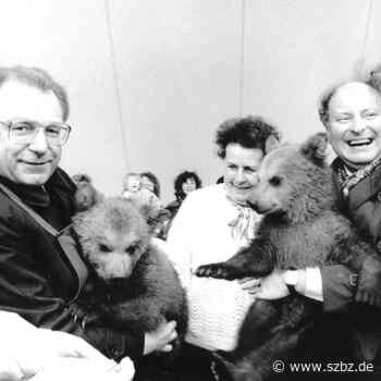 Sindelfingen: Braunbärin Sindi stirbt in Müritz | SZ/BZ - Sindelfinger Zeitung / Böblinger Zeitung