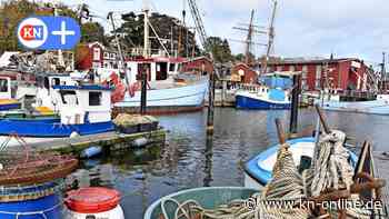 Zur Abwrackprämie: In der Fischerei herrscht immer noch verkehrte Welt