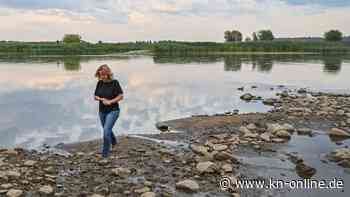 Fischsterben: Innenministerin Lemke fordert Aufklärung von polnischer Seite