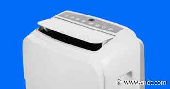 5 Signs You Need a Portable Dehumidifier     - CNET