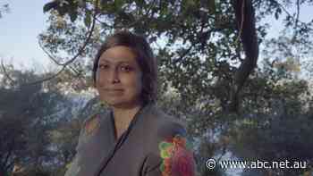 Indira Naidoo's tree in Sydney's botanic gardens attracts hundreds of visitors seeking comfort - ABC News