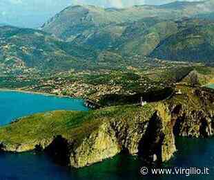 Cilento, mancata pulizia strade provinciali. Cirielli: "Pericolo incendi" - Virgilio