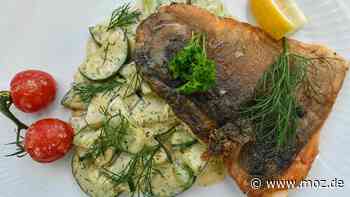 Essen gehen in Brandenburg: Restaurant, Hofladen oder Imbiss – wo Fisch, Steak & Gulasch am besten schmecken - Märkische Onlinezeitung