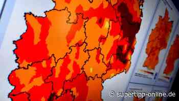 Kreis Mettmann: Waldbrandgefahr derzeit deutlich erhöht - Super Tipp