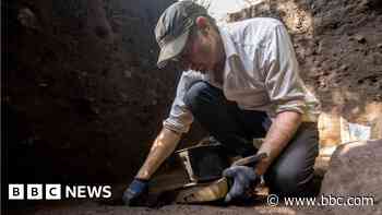 University of Exeter at heart of rock art discoveries - BBC