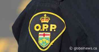 1 dead after fatal farm incident in Windham, Ont.: OPP