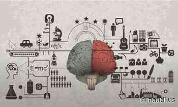 Our Brains Fill In Details Of Experience Based On Other Experiences