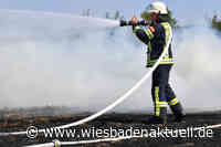 Waldbrand bei Münster - Einsatzkräfte aus Wiesbaden untersetzten beim Löscharbeiten