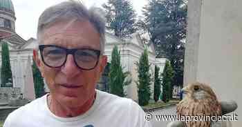 Gheppio salvato dagli agenti: «Ha un'ala spezzata» - La Provincia di Cremona e Crema