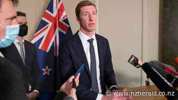 Heather du Plessis-Allan: The Sam Uffindell saga: why National needs to sort out its selections - New Zealand Herald