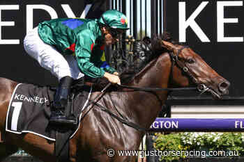 Plan B for Allan Endresz to race Alligator Blood in Victoria - Just Horse Racing