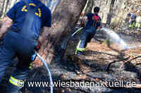 Waldbrand bei Münster - Einsatzkräfte aus Wiesbaden unterstützen bei Löscharbeiten