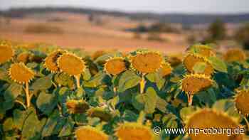 Vorhersage - Wetter wird wechselhafter - Neue Presse Coburg