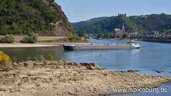 Dürre - Flüsse im Stress: Folgen der Trockenheit - Neue Presse Coburg