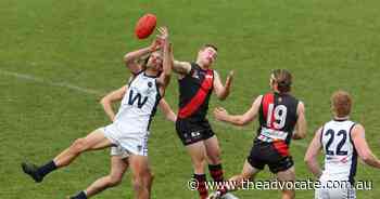 Wynyard's Darcey Brazendale embracing new challenge, confident Cats have what it takes - The Advocate