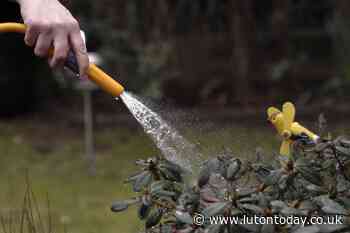 Luton will not have hosepipe ban as southeast England officially in drought - Luton Today