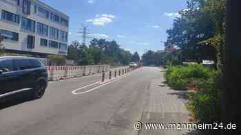 Franklin in Mannheim: Neue Sperrpfosten auf Straße – Verkehrsberuhigung oder Hindernis? - mannheim24.de